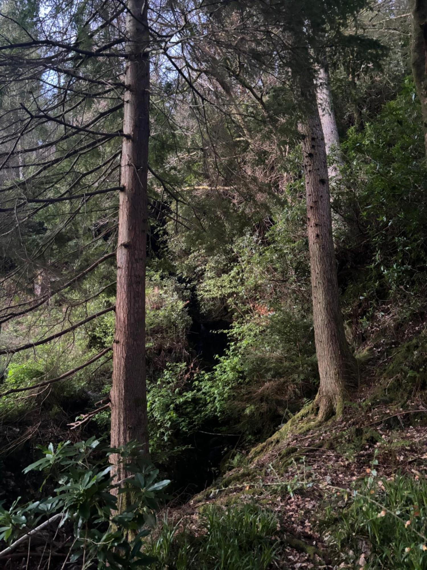 North Lodge Kilmun Exterior foto